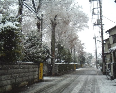 c0112172_3285615.jpg