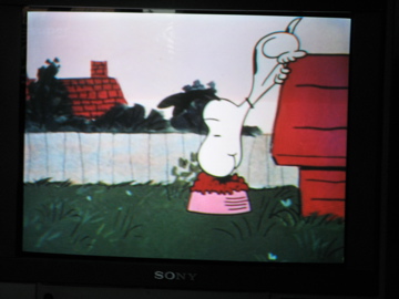 Snoopy!_b0102075_15591427.jpg