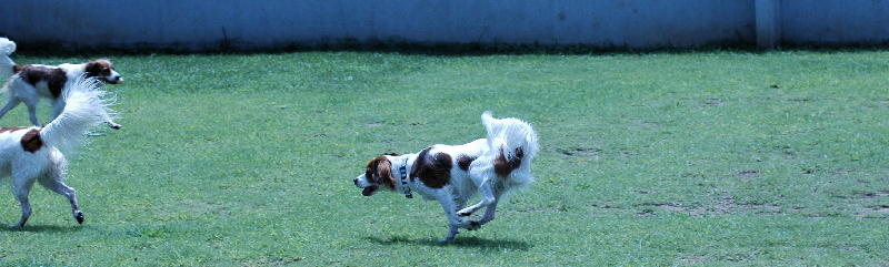 c0075585_0424041.jpg
