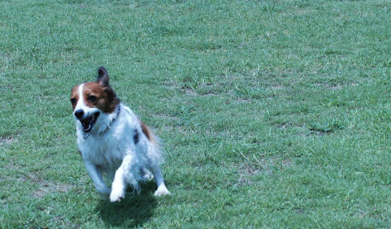 c0075585_0433596.jpg