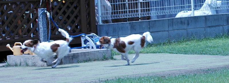 c0075585_0534626.jpg