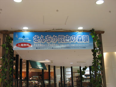 e0125894_1113246.jpg