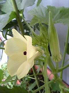 c0037701_1205864.jpg