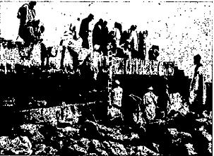 f0028703_14155581.jpg