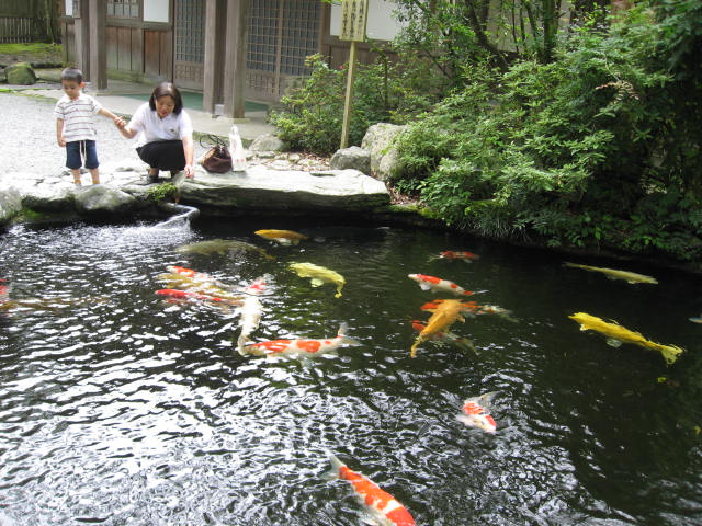 a0100706_20213820.jpg