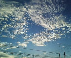 c0065309_22265152.jpg