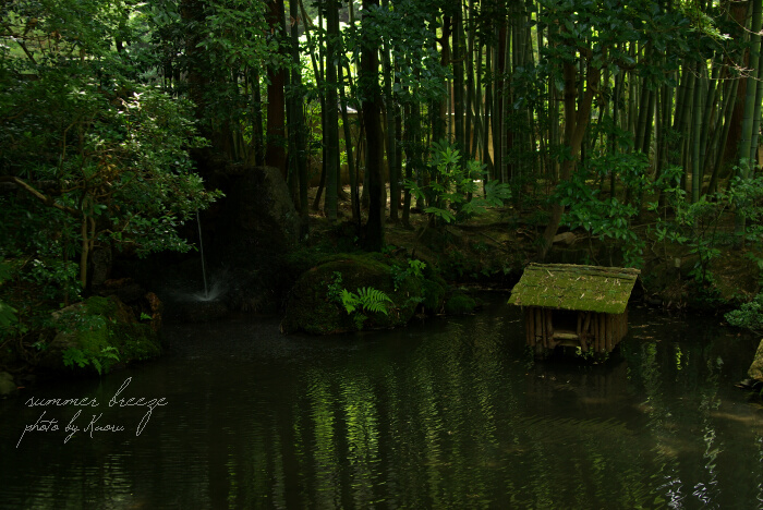 南禅寺（天授庵）その弐_b0083811_21242053.jpg