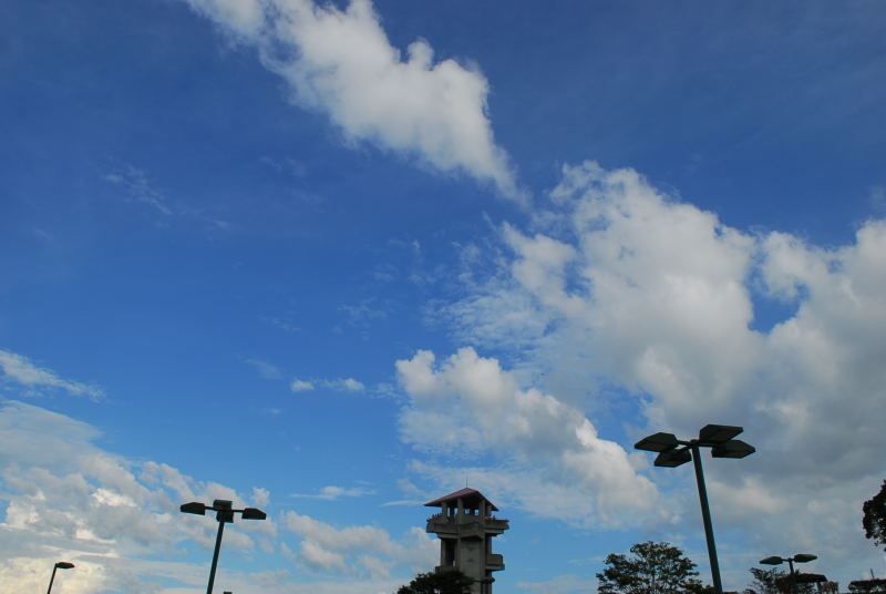 d0047811_2132919.jpg