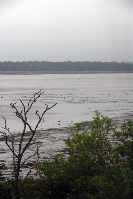 d0019422_13285319.jpg