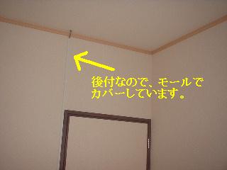 f0031037_17284712.jpg