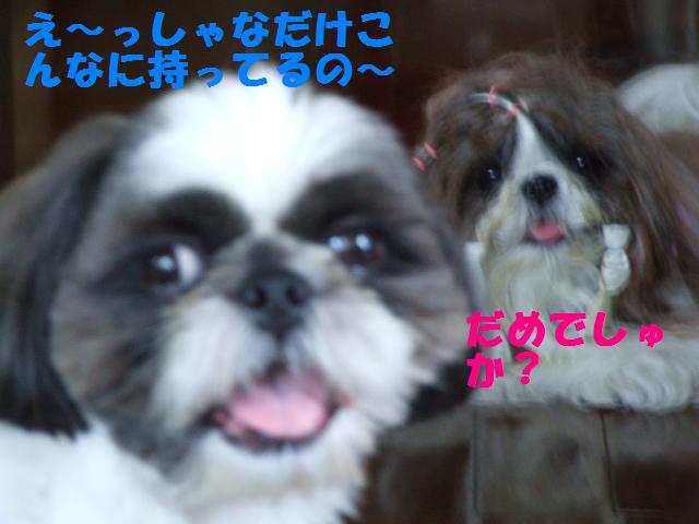 a0091448_13453524.jpg