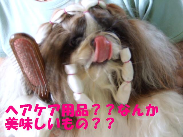 a0091448_13463387.jpg
