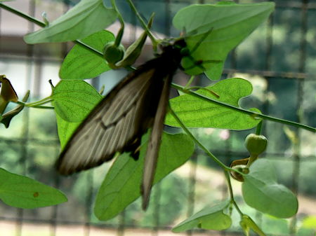 d0091754_22303582.jpg