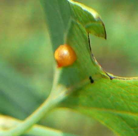 d0091754_2251968.jpg