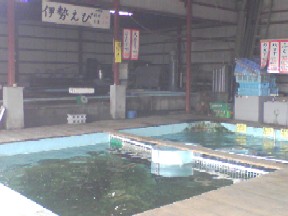 f0044557_21203450.jpg