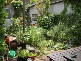 f0043559_205162.jpg