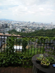 f0043559_20594.jpg