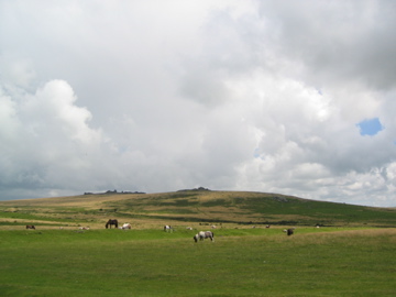 Dartmoor ~Exeter_c0046163_5434648.jpg