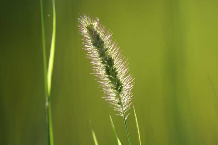 e0019563_2351827.jpg