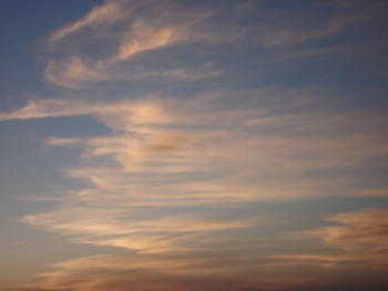 a0096367_22274568.jpg