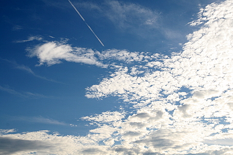 c0054876_1933132.jpg
