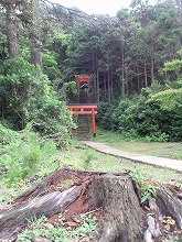 日御碕神社_c0105785_1125823.jpg