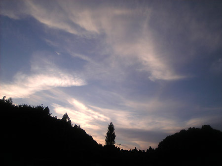 c0026690_0401946.jpg