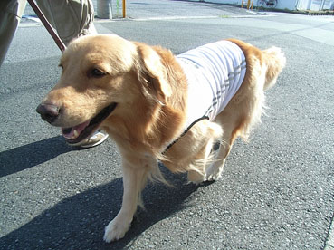 c0096393_23404580.jpg