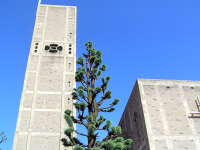 毎年8月7日は、南こうせつ in 世界平和記念聖堂 _a0047200_15133251.jpg