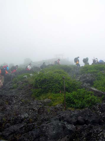 a0019601_117880.jpg