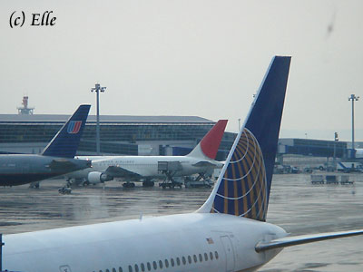 b0000801_825416.jpg