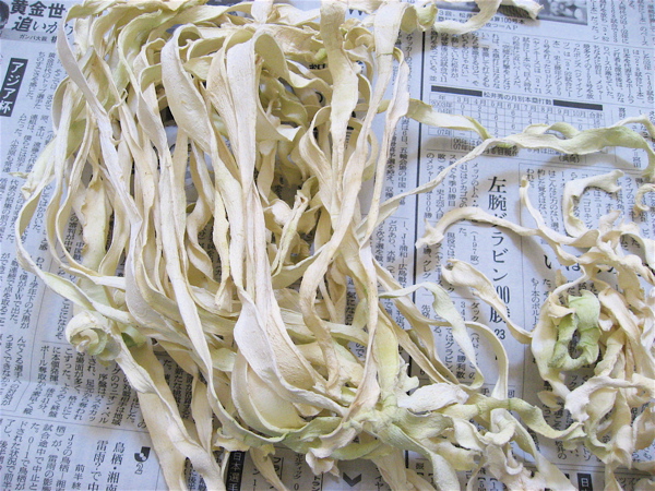 e0001406_2153644.jpg