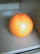 e0045108_22102320.jpg