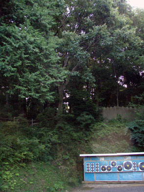 b0117718_190687.jpg