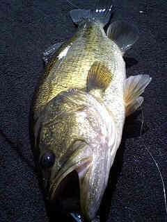 e0100021_17254533.jpg