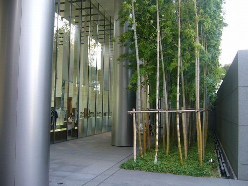 c0101934_10362783.jpg