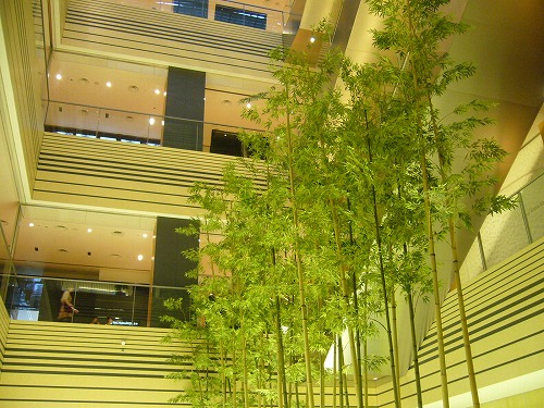 c0101934_10364029.jpg