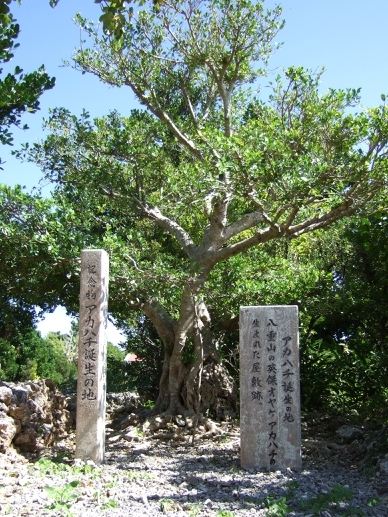 波照間島滞在3日目(6月30日)その4_c0084257_23495491.jpg