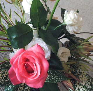 e0086864_2161074.jpg