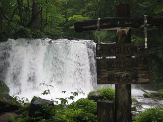 東北４大祭り（秋田竿灯、仙台七夕、山形花笠踊り編）_c0007266_1120781.jpg