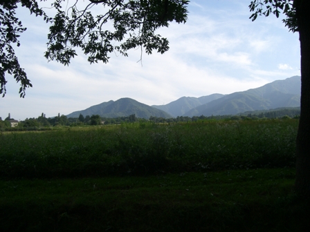 b0099276_1061593.jpg