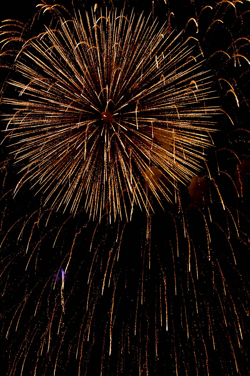 f0007684_315555.jpg