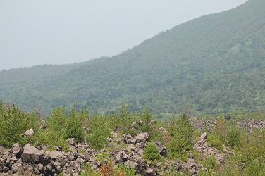 c0046587_23171995.jpg
