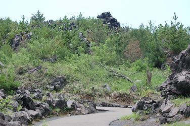 c0046587_23174910.jpg