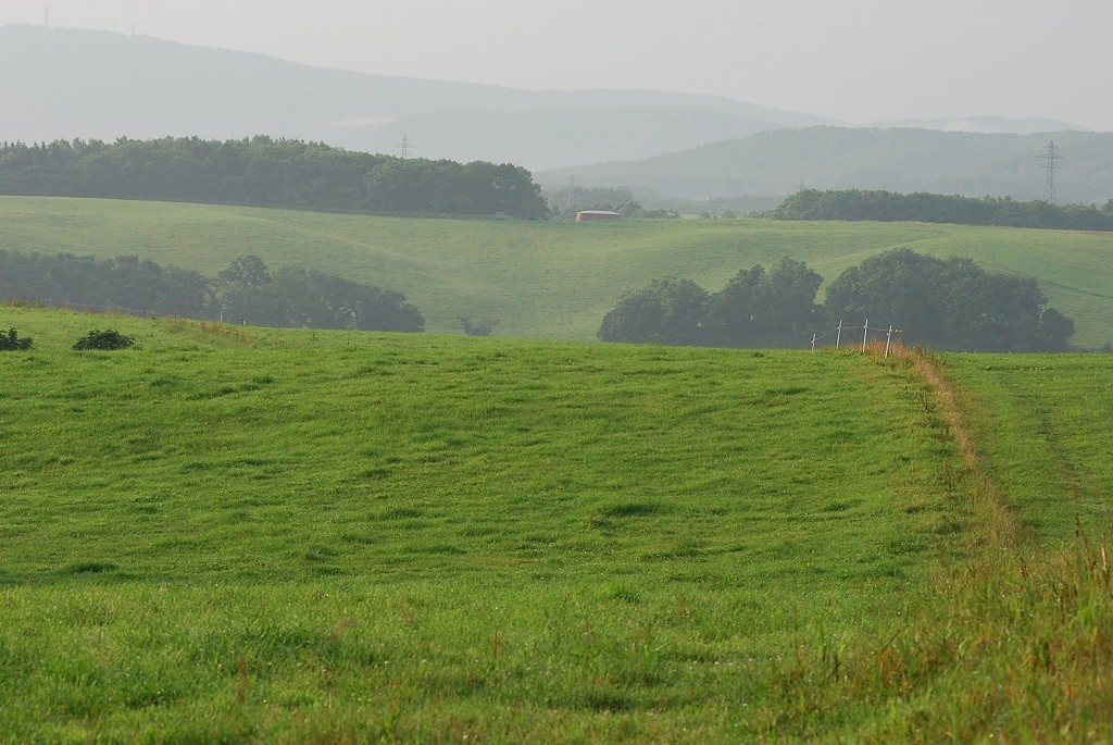a0062697_21285.jpg