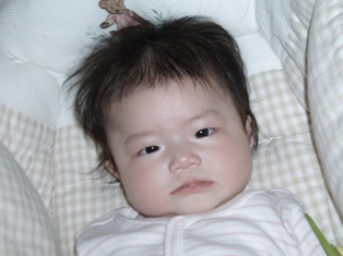 a0054700_14123517.jpg