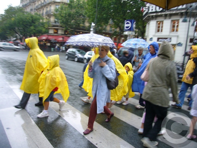 a0008105_85636.jpg