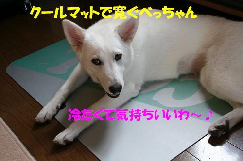 f0121712_11522812.jpg