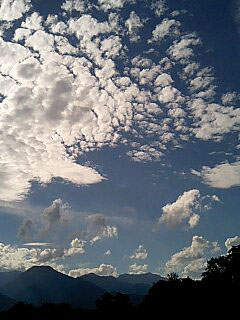 c0047814_2024164.jpg