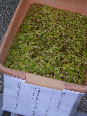 b0085917_14063.jpg